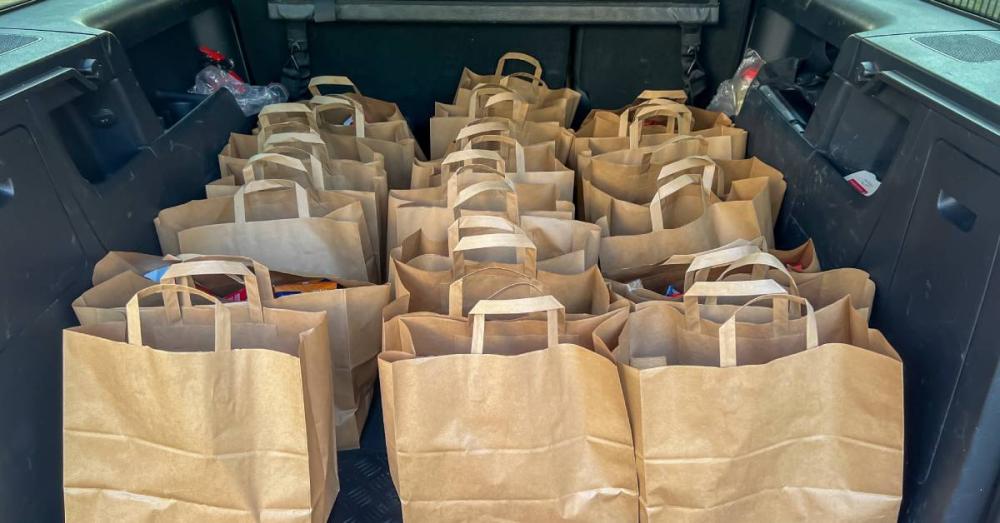 Multiple rows of brown paper bags with handles in the trunk of a car. Each bag has several items inside.