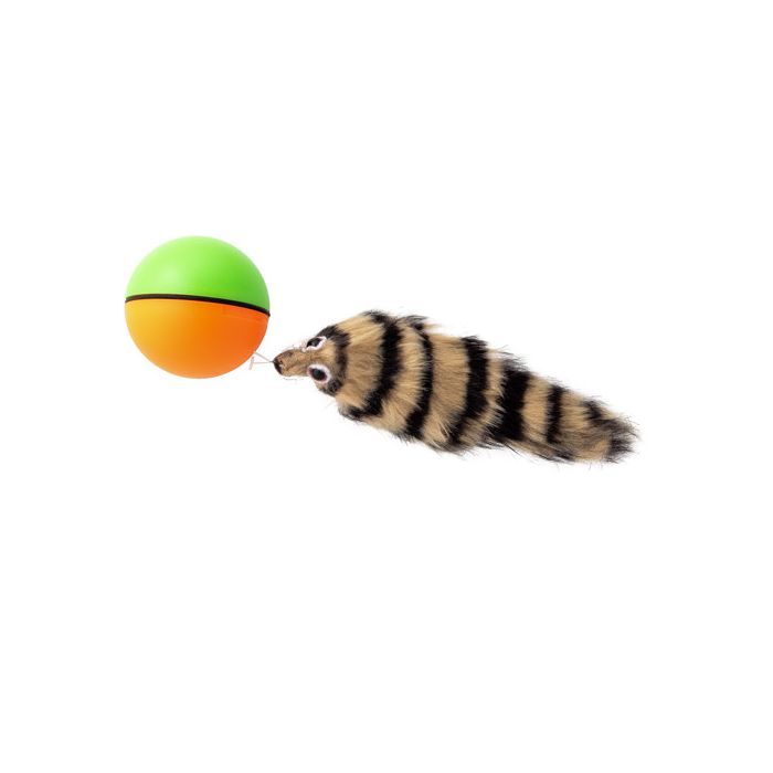 Buy Weazel Ball Motorized Ball Pet Toy Online at Low Prices in USA 
